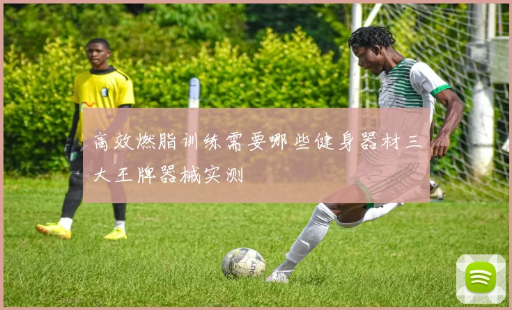 高效燃脂训练需要哪些健身器材三大王牌器械实测